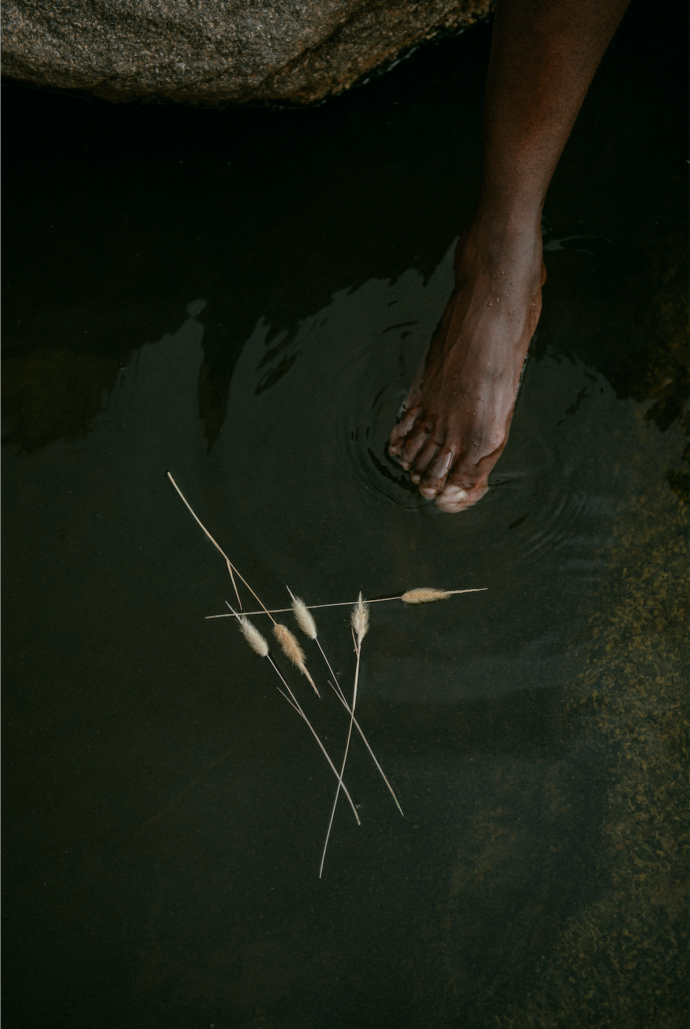 A Letter from the Concierge